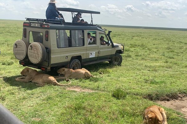 Tanzania game safari with Africa Celeberity Tours & Travels