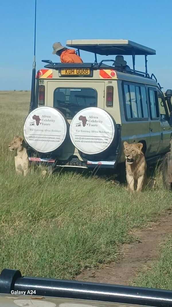 Our Safari Vehicles